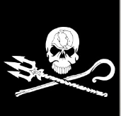 Sea Shepherd Italia - Quaranta globicefali sono stati uccisi nel primo evento di grid delle isole faeroer del 2024